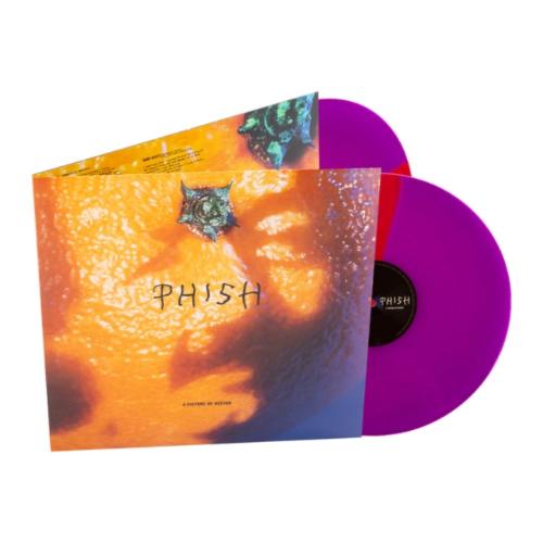 A Picture of Nectar (2LP Grape Apple Pie Vinyl)