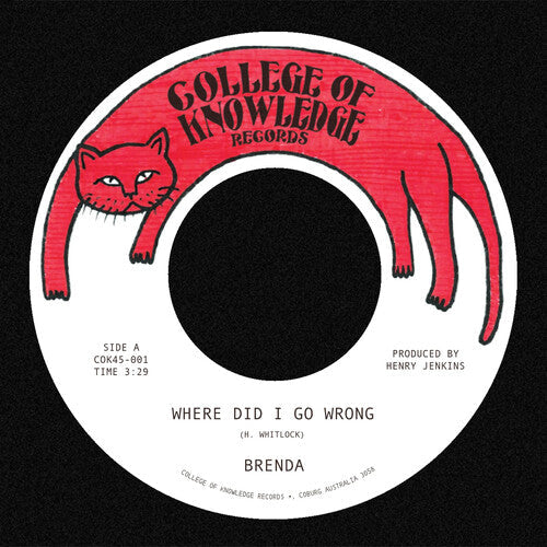 Where Did I Go Wrong / Family (7" Vinyl)