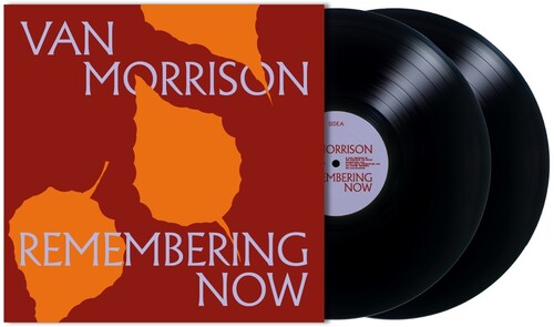 Remembering Now (2LP)