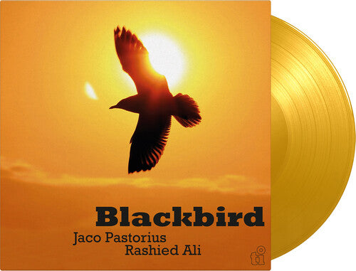 Blackbird (Ltd Edition Translucent Yellow Vinyl)