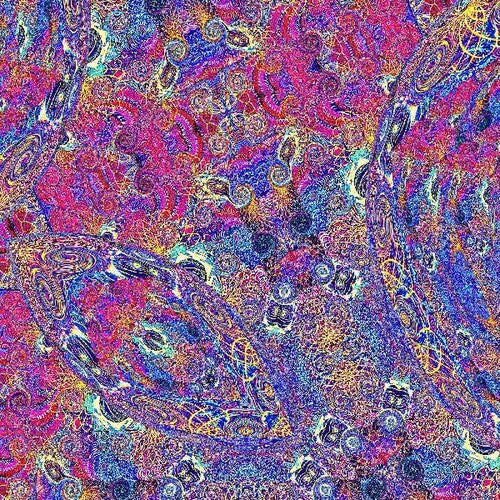 Placenta (2LP Purple & Blue Marble Vinyl)