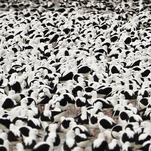 Flood (Ltd Edition Red Vinyl)