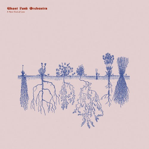 A New Kind Of Love (Indie Exclusive Transparent Red Vinyl)