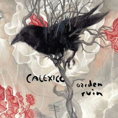 Garden Ruin (Ltd Anniversary Edition / Silver & White Vinyl)