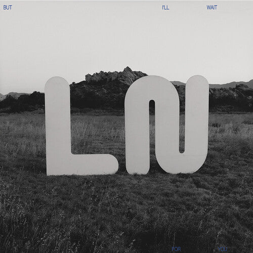 But I'll Wait For You (CD)