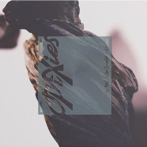 The Night the Zombies Came (CD)